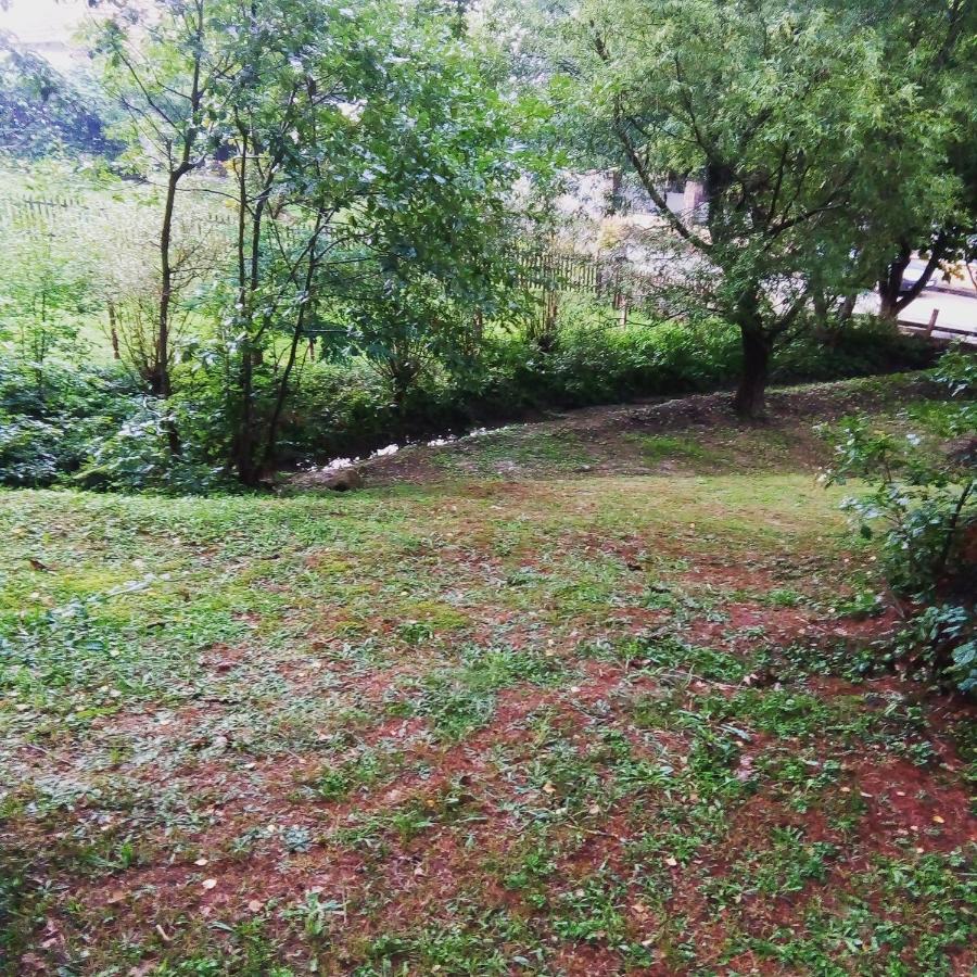 Takovo - Odmor U Selu Villa Gornji Milanovac Dış mekan fotoğraf