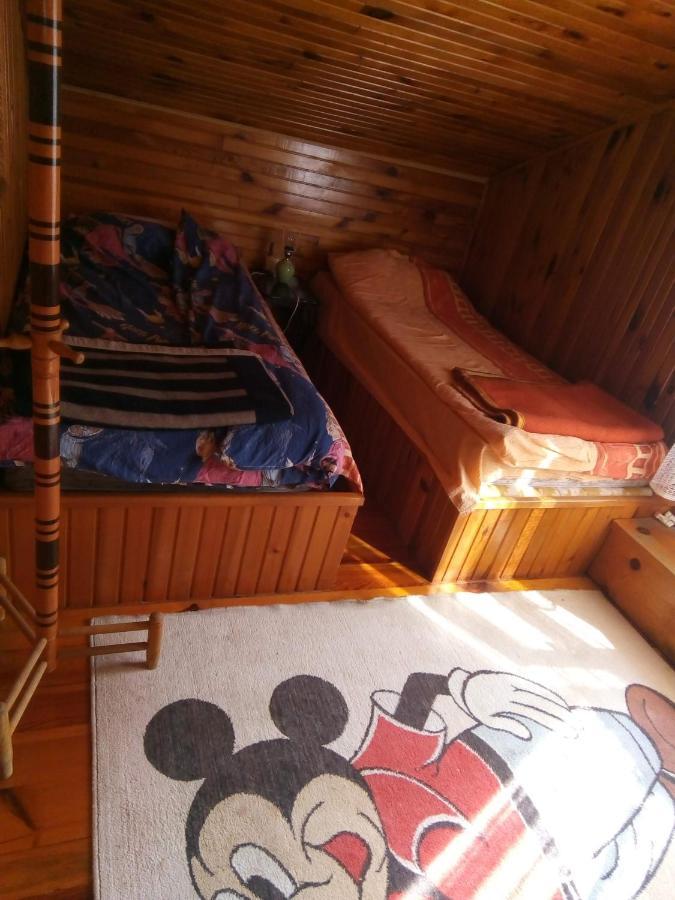 Takovo - Odmor U Selu Villa Gornji Milanovac Dış mekan fotoğraf