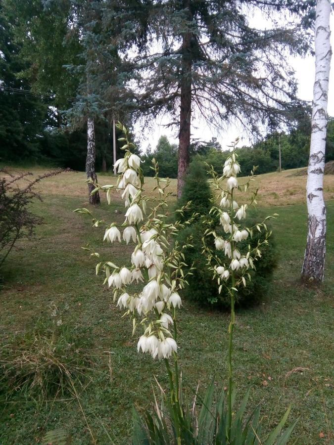 Takovo - Odmor U Selu Villa Gornji Milanovac Dış mekan fotoğraf