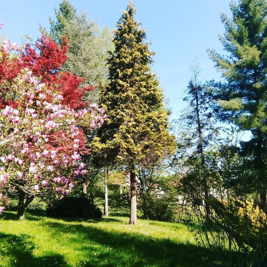 Takovo - Odmor U Selu Villa Gornji Milanovac Dış mekan fotoğraf