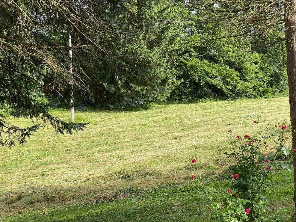 Takovo - Odmor U Selu Villa Gornji Milanovac Dış mekan fotoğraf