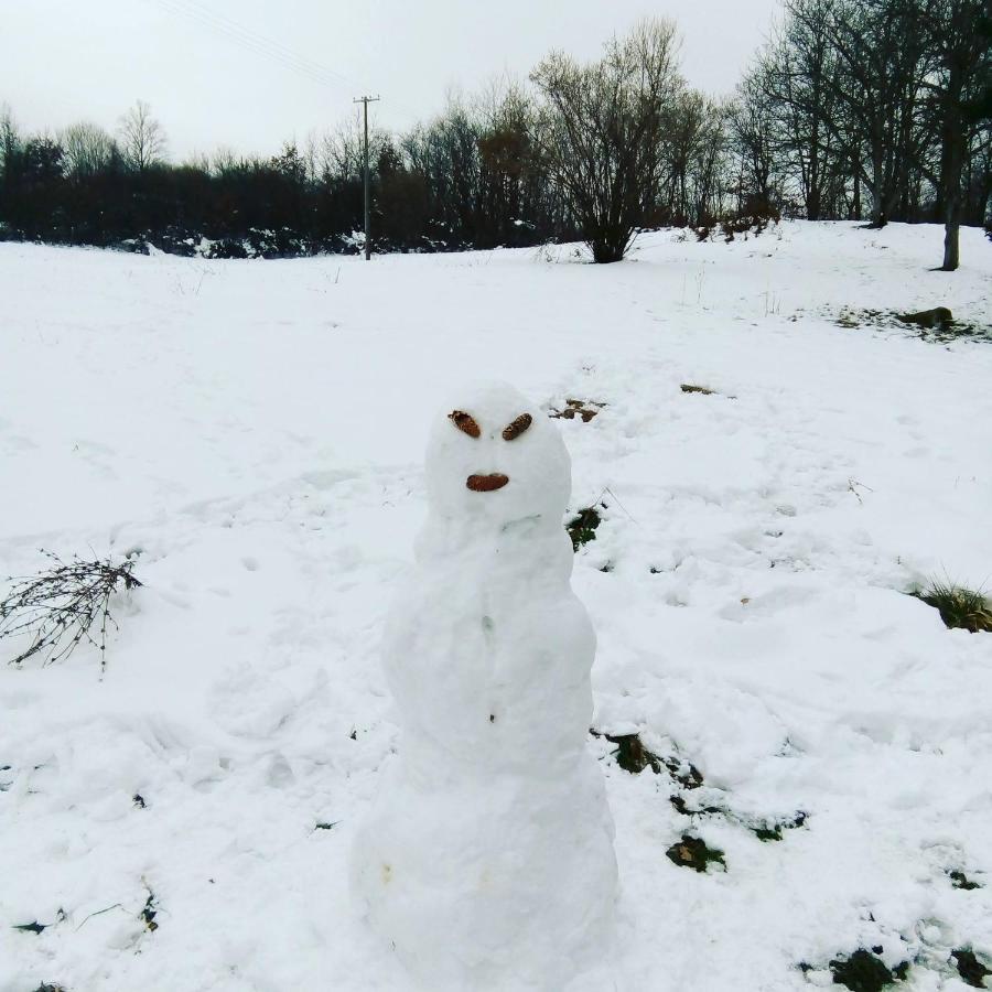 Takovo - Odmor U Selu Villa Gornji Milanovac Dış mekan fotoğraf