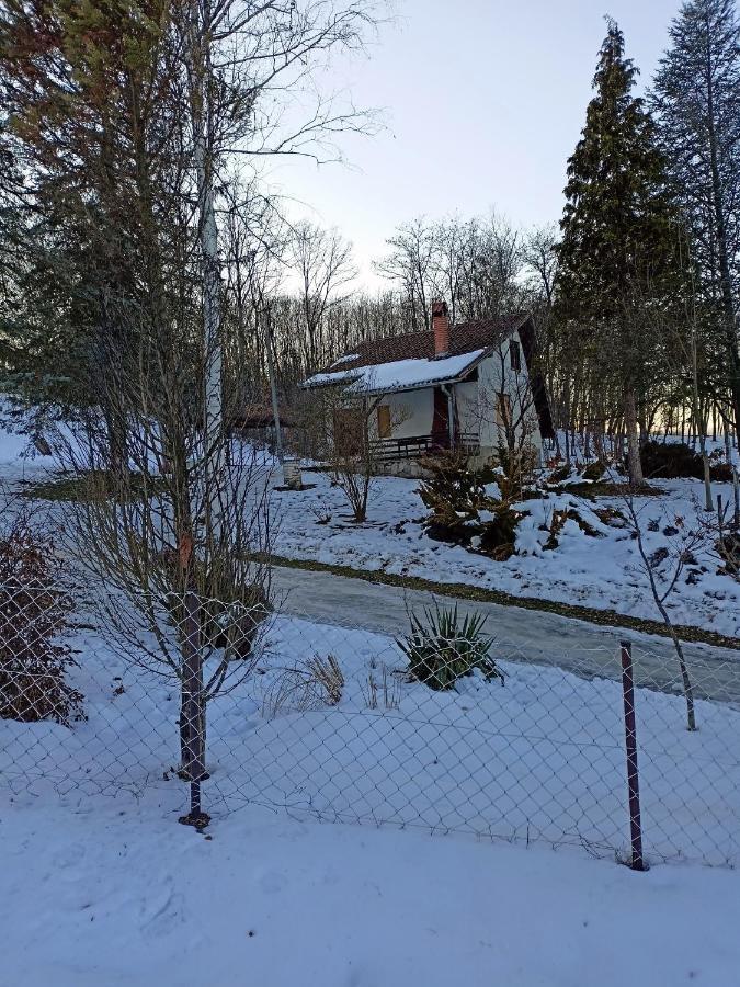 Takovo - Odmor U Selu Villa Gornji Milanovac Dış mekan fotoğraf
