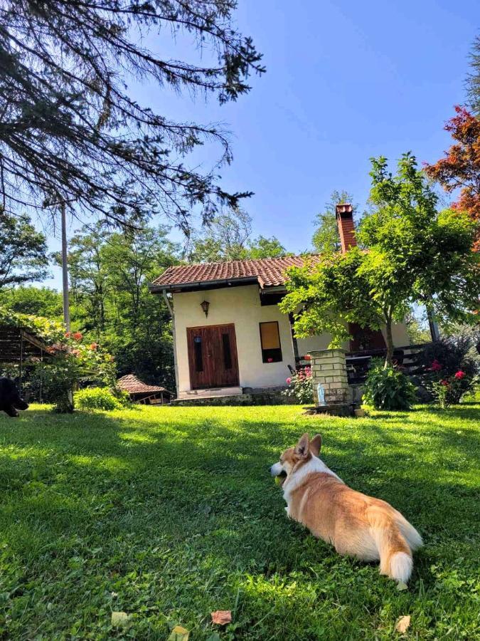 Takovo - Odmor U Selu Villa Gornji Milanovac Dış mekan fotoğraf