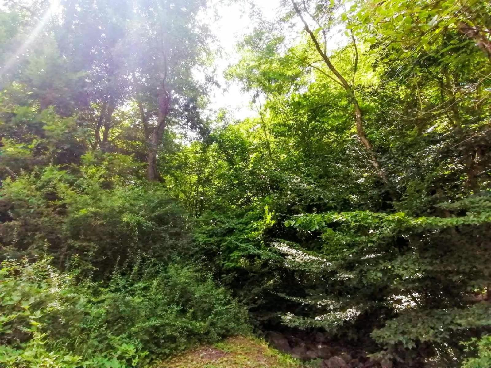 Takovo - Odmor U Selu Villa Gornji Milanovac Dış mekan fotoğraf